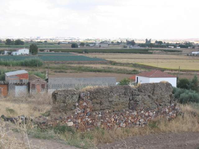 Al fondo las Vegas del Martel y Don Benito. (F. Tomás G. Octubre, 2004)