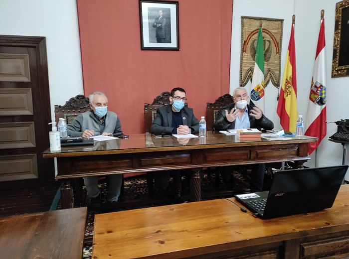 Videoconferencia en el Salón de Plenos del Ayuntamiento de Medellín (España)