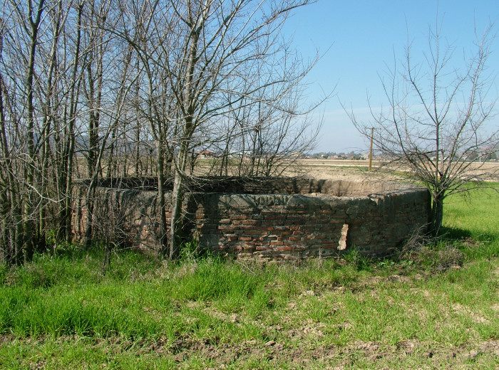El Pozo de los Borrachos, rodeado de Álamos, como en el s. XIX.