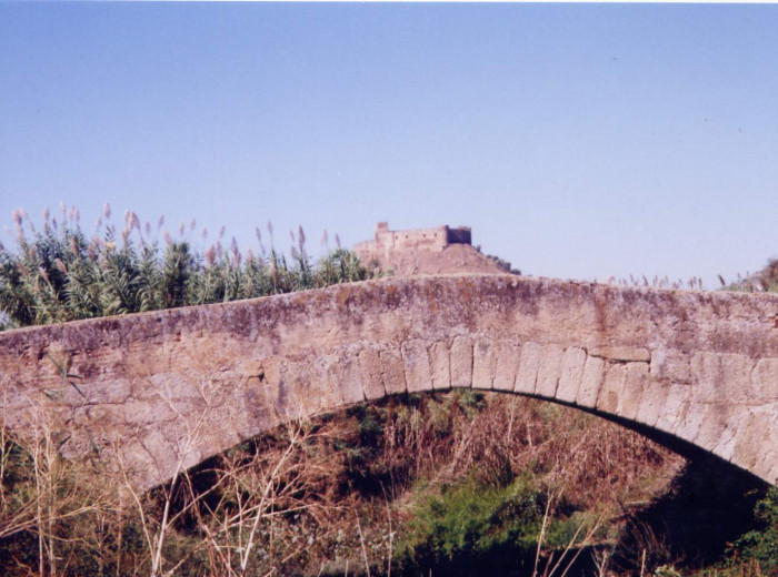 Puente renacentista sobre el río Ortiga.