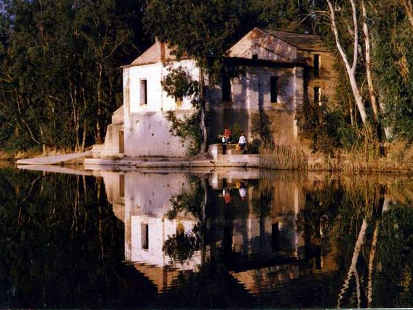 Molino de "Mari Daz" o de "Marediar".  En las laderas de la Sierra de Yelbes.