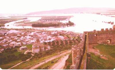 Vista parcial de la Villa. En primer trmino la Iglesia de San Martn. ltima riada del siglo XX. (Foto T. Garca, Febrero de 1979)