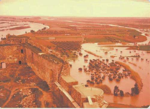 Vista de las Vegas de Ortigas anegadas por este ro, inmediatamente antes de desembocar en el Guadiana. El agua del Ortigas aneg varias veces la calle San Francisco.  (Foto Toms Garca, 1979)