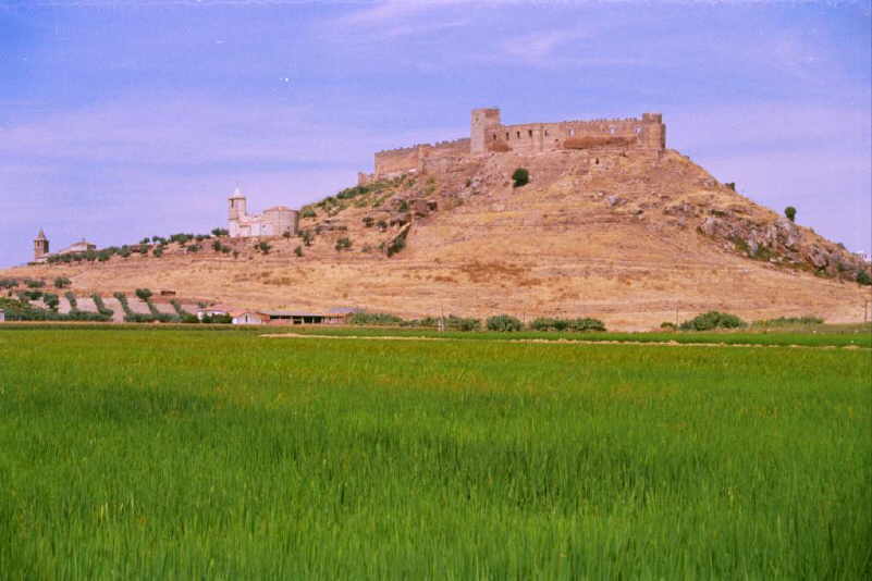 Campo de arroz  en las Vegas de Ortiga. Al fondo, el castillo.