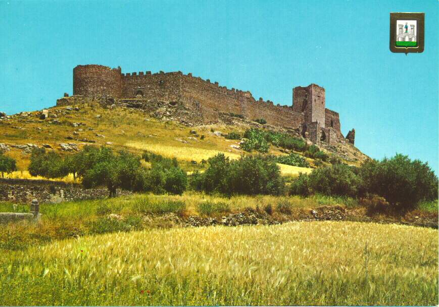 Vista del Castillo, desde la Iglesia de San Martn. Postal de los aos '60.