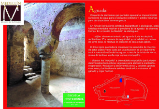 ALGIBE DEL CASTILLO DE MEDELLÍN