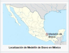 Localización geográfica de Medellín de Bravo