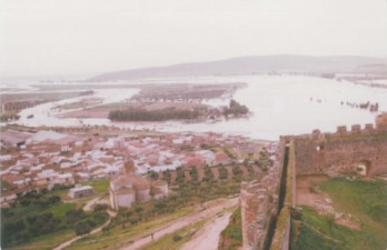 Situación de la Necrópolis: isleta próxima a la ciudad. Inundación de 1979.
