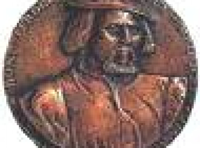 Medalla de bronce de Weiditz (1929)
