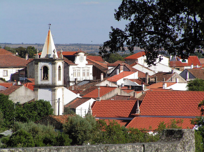 MEDELIM (Portugal)