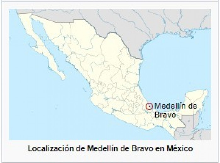 Localización geográfica de Medellín de Bravo